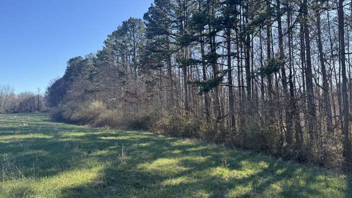 Southern Ohio land with rolling terrain and timber