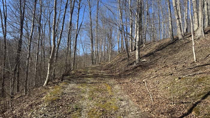 Wooded ridges ideal for hunting setups