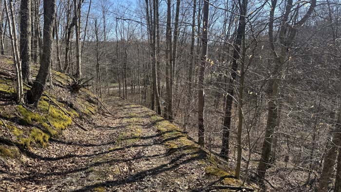 Aerial perspective of large wooded parcel
