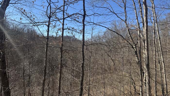 Natural travel corridors for deer and wildlife