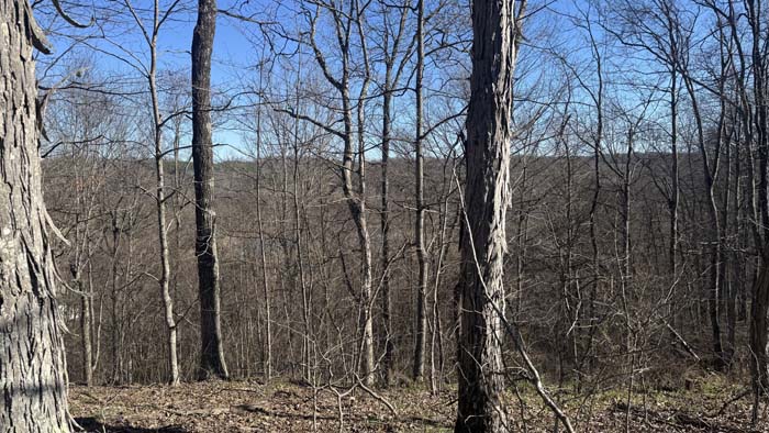 Scenic rural land with rolling elevation