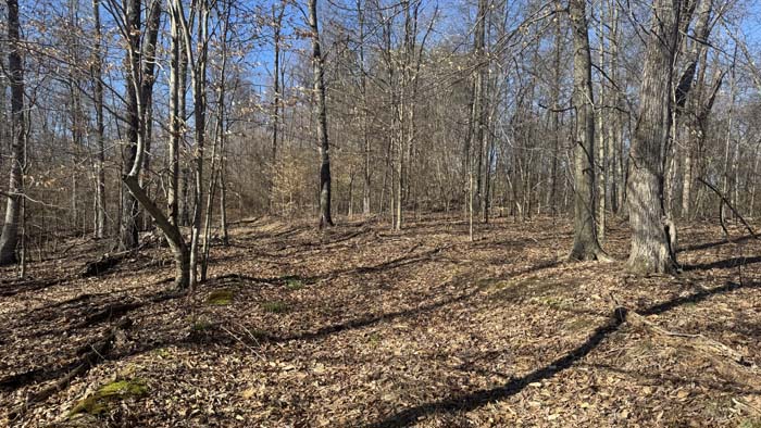 Aerial view of Ohio hunting and recreational land