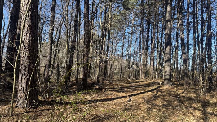Southern Ohio acreage with natural terrain features