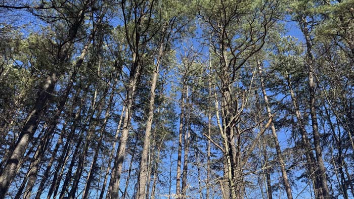 Private land ideal for hunting and recreation