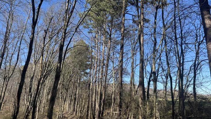 Aerial showing property layout and access