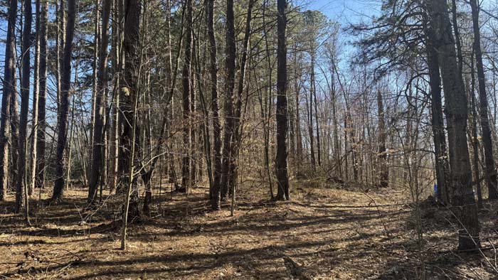 Rolling wooded terrain in Ohio countryside