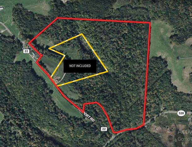 Wildlife habitat supporting deer and turkey