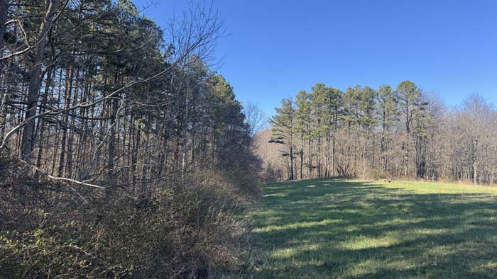 Open ground suitable for food plots or recreation