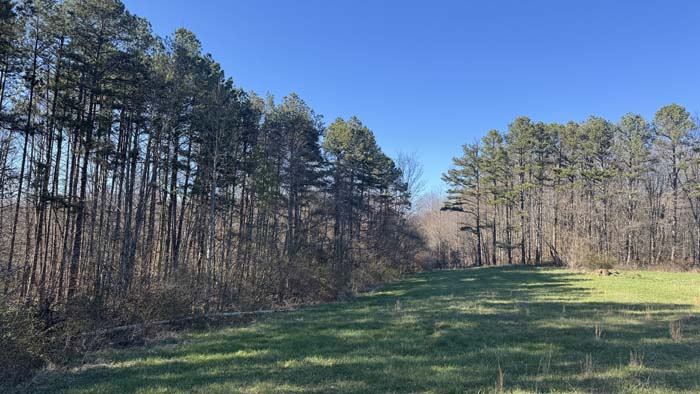 Private rural land with scenic views and timber