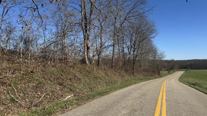 Trail system through wooded property for access