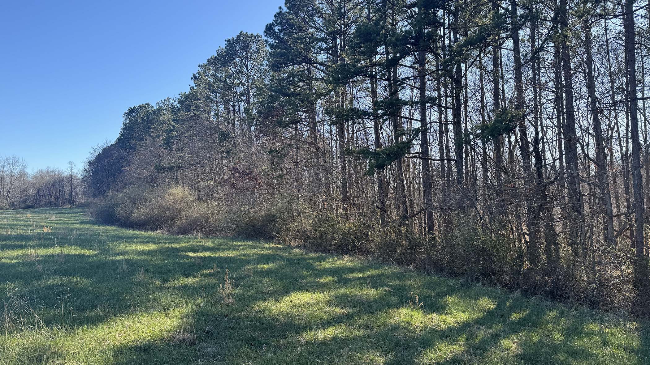 0 Airport Road — 87-acre Vinton County recreational and homestead property with dual road frontage, 1.25 miles from Zaleski State Forest, New Plymouth, Ohio