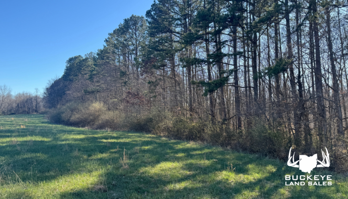 87+/- Acres, New Plymouth, OH 45654