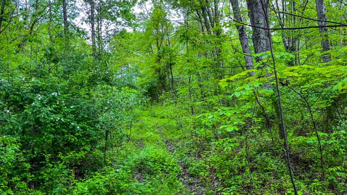 utilities available on land for sale