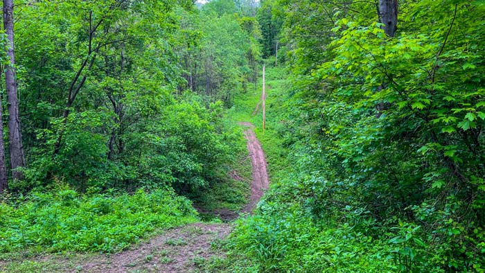 food plot potential site in Ohio