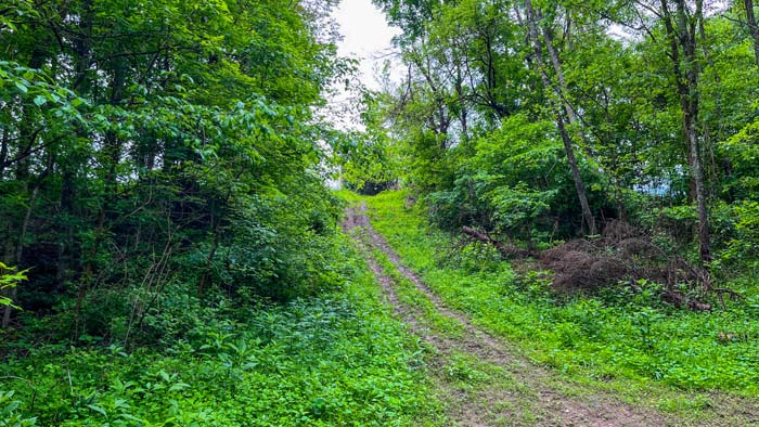 secluded woods in southeast Ohio