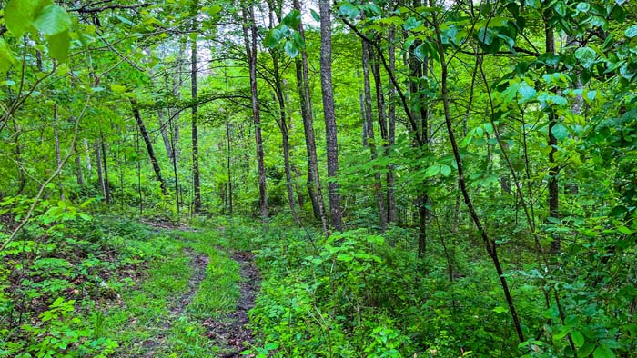 trail through private Ohio land