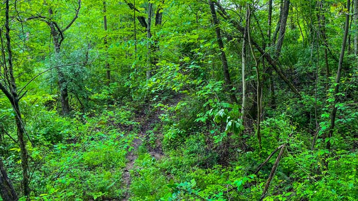 mineral rights land in Washington County