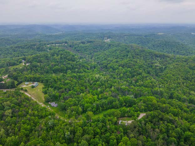 cleared site for cabin or home