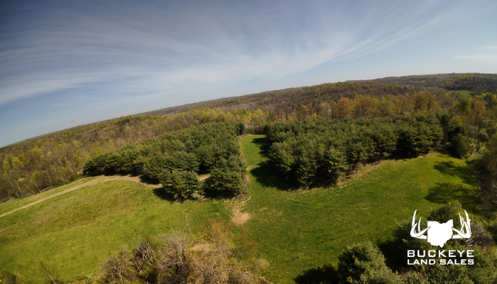 36.8+/- Acres,]Dexter City, OH 45727