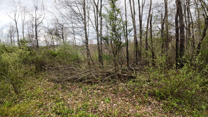 large creek on recreational property with gated access