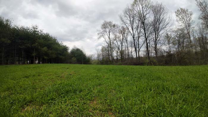 excellent deer trails and bedding cover throughout property