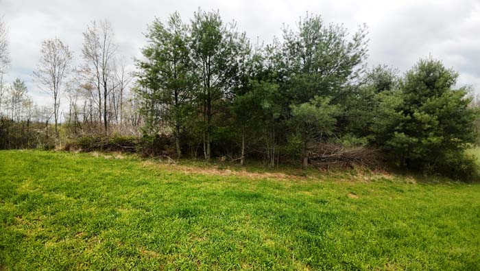 Ohio land with trophy buck history and stand setups in place