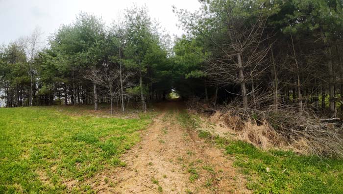 secluded build site for home or hunting cabin in Noble County