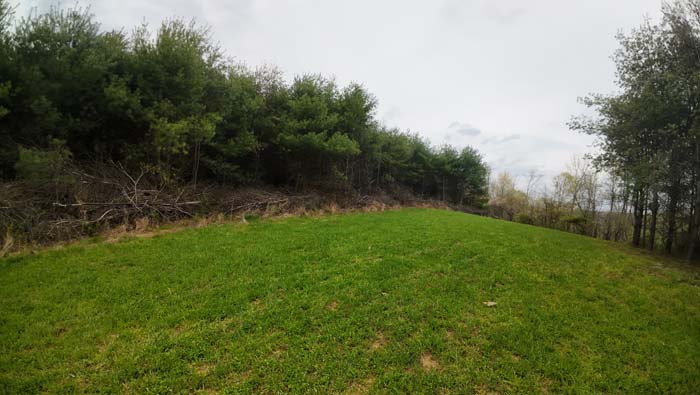 deer stand overlooking open food plot surrounded by hardwoods