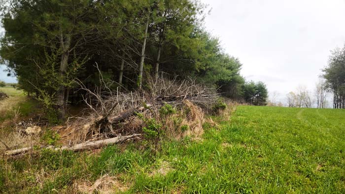 panoramic view from build site on elevated hunting property