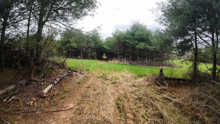 creekside view of wildlife crossings on Ohio land for sale