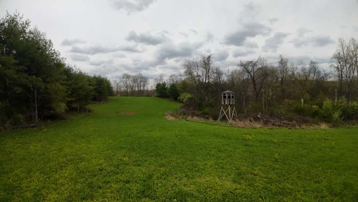 turkey strut zone near open creek and trail system
