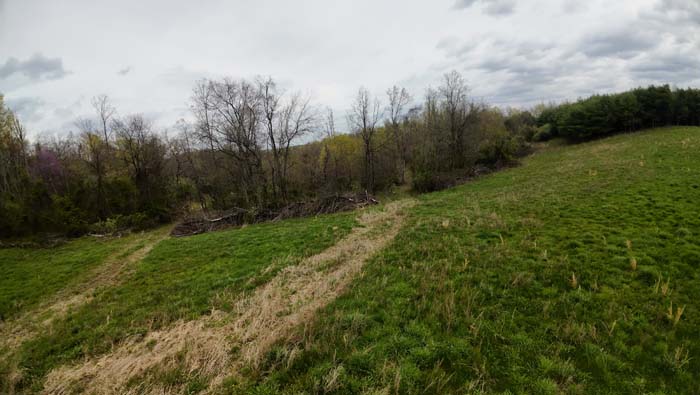 high ridge ideal for elevated stand and shooting lanes