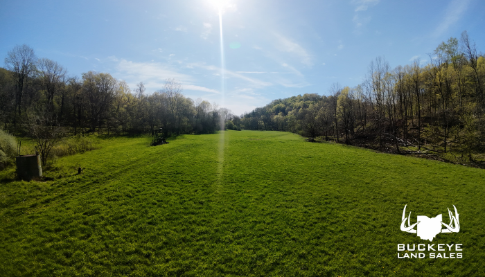 37+/- Acres,]Dexter City, OH 45727