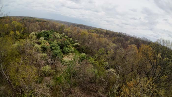 strategically placed food plot in wooded Ohio acreage