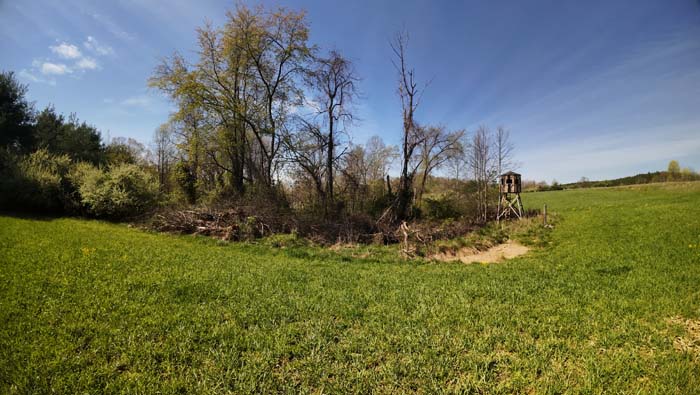 hunting blind with great cover and views of wildlife trails
