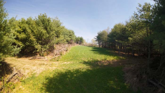turkey habitat on gently rolling land for sale in Ohio