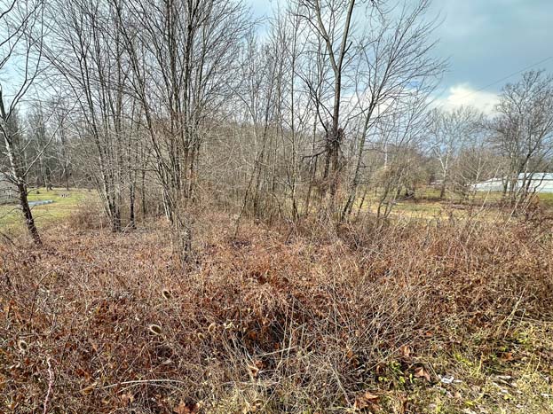 Rolling terrain homesite in southeastern Ohio