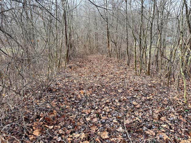 Creek crossing on Gallia County building lot