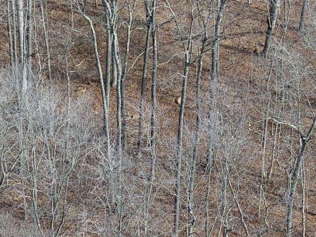 Country acreage in Buckeye Hills subdivision