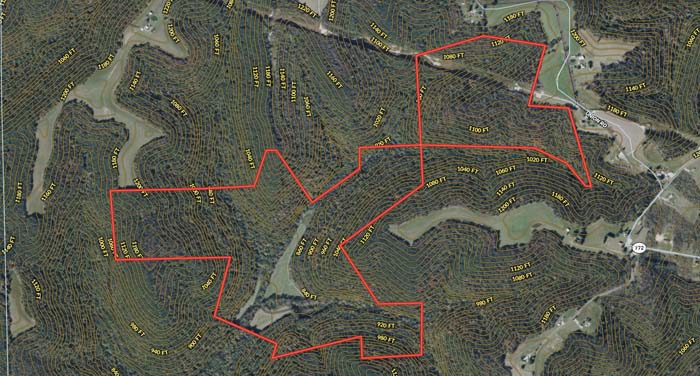 Large timber tract with strong hunting potential