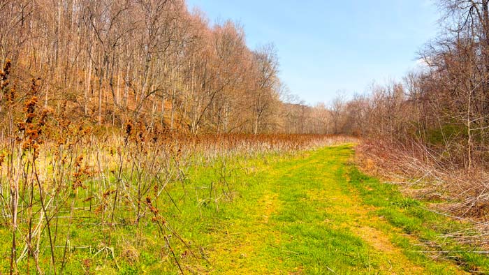 Private Ohio hunting land with diverse terrain features