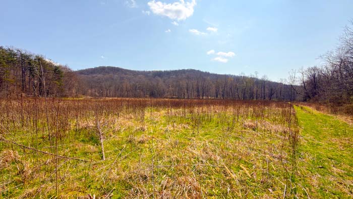 Rolling pasture and timber combination land