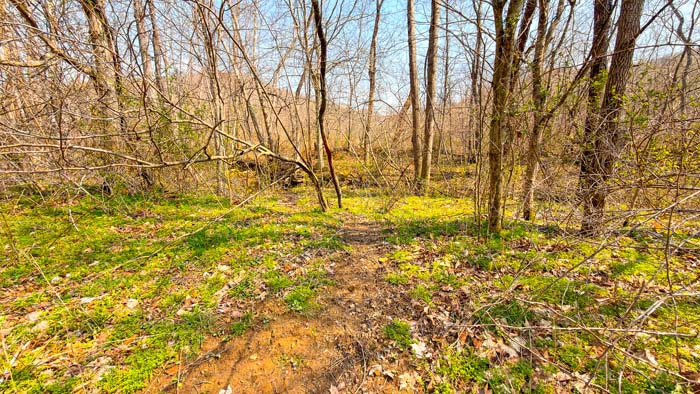 Aerial of expansive hunting acreage in Ohio