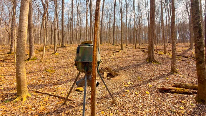 Elevated terrain for strategic stand placement