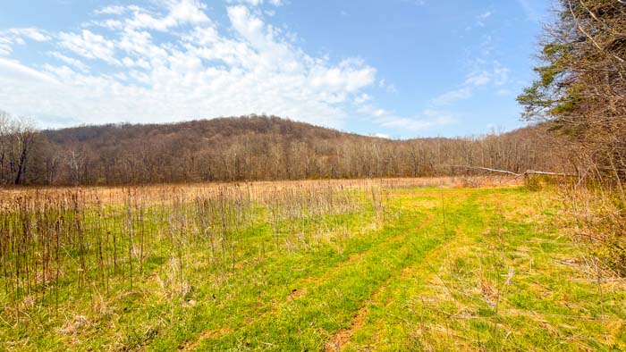 Wooded ridges and valleys across large hunting tract