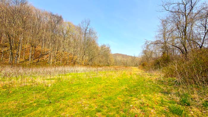 Private hunting land in scenic Ohio countryside