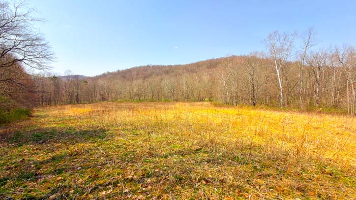 Aerial of timberland with varied elevation