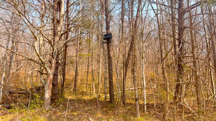 Trail access throughout hunting acreage