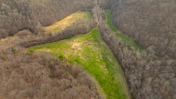 Secluded woodland property ideal for retreat