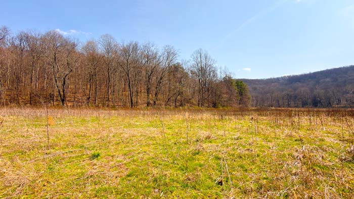 Remote property offering privacy and wildlife